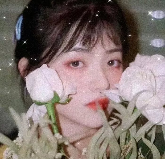 女士万岁