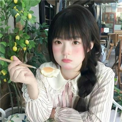 豹
